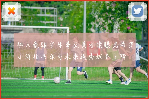 热火豪赌字母哥交易方案曝光希罗小海梅韦尔与未来选秀权齐上阵